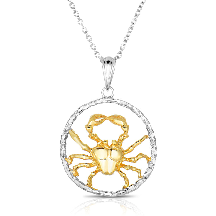 Sterling Silver Round Zodiac Pendant Necklace