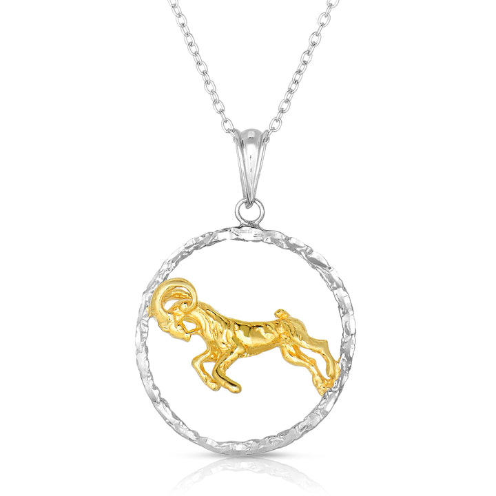 Sterling Silver Round Zodiac Pendant Necklace